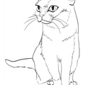 Chartreux_Cat_Coloring_Pages_003.jpg
