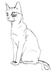 Chausie Cats Coloring Book Page