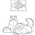 Colorpoint Shorthair Cat Coloring Book Page