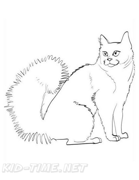 Colorpoint_Shorthair_Cat_Coloring_Pages_002.jpg