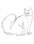 Colorpoint Shorthair Cat Coloring Book Page