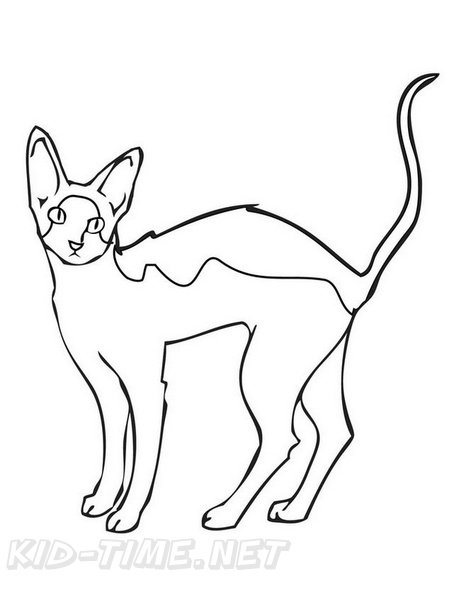 Cornish_Rex_Cat_Coloring_Pages_003.jpg