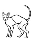 Cornish Rex Cat Coloring Book Page