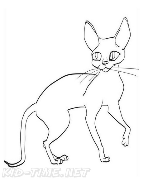 Cornish_Rex_Cat_Coloring_Pages_005.jpg
