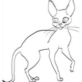 Cornish_Rex_Cat_Coloring_Pages_005.jpg