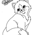 Cute Cat Coloring Book Page