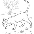 East_Shorthair_Cat_Coloring_Pages_001.jpg