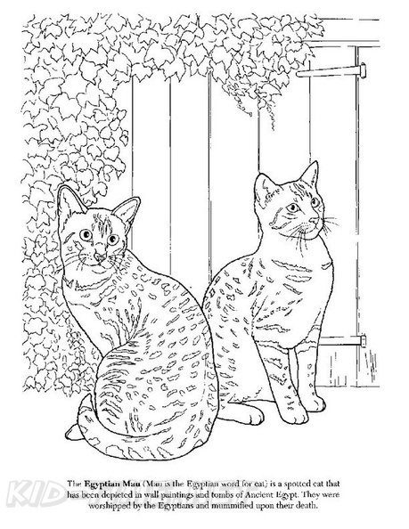 Egyptian Cat Coloring Pages / Egyptian Coloring Stock Illustrations 388