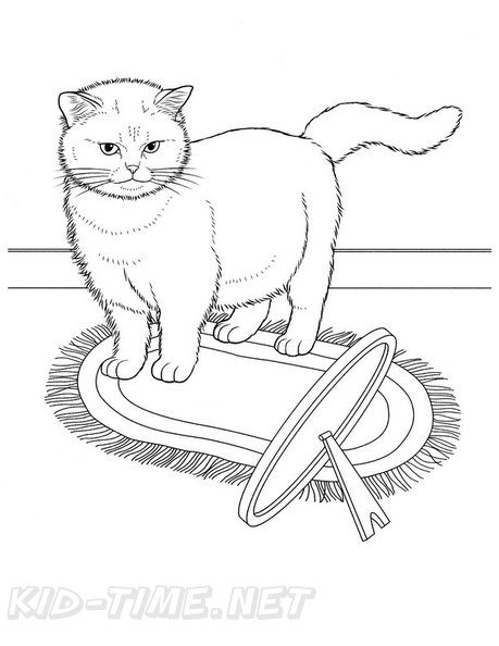 Exotic_Shorthair_Cat_Coloring_Pages_001.jpg