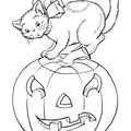 Halloween_Cat_Cat_Coloring_Pages_009.jpg