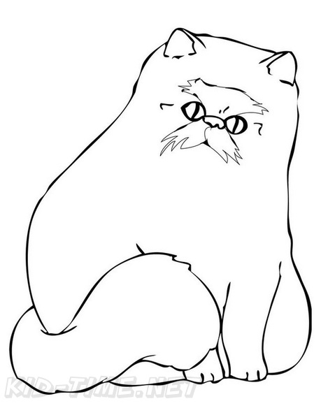 Himalayan Cat Breed Coloring Book Page