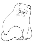 Himalayan Cat Breed Coloring Book Page