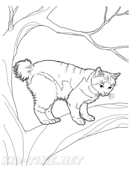 Japanese_Bobtail_Cat_Coloring_Pages_001.jpg