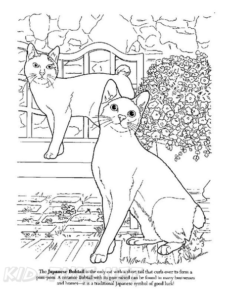 Japanese Cat Coloring Pages : Japan Coloring Page Images Stock Photos