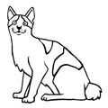 Japanese_Bobtail_Cat_Coloring_Pages_004.jpg