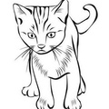 Kittens_Cat_Coloring_Pages_012.jpg