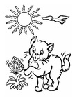 Kitten Coloring Book Page