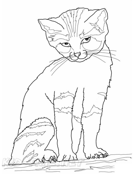 Kittens_Cat_Coloring_Pages_095.jpg