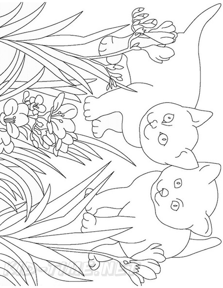 Kittens_Cat_Coloring_Pages_115.jpg