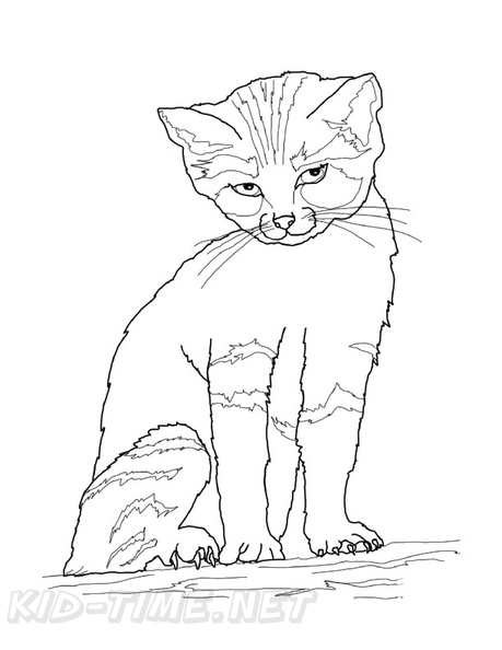 Kittens_Cat_Coloring_Pages_128.jpg