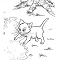 Kittens_Cat_Coloring_Pages_171.jpg