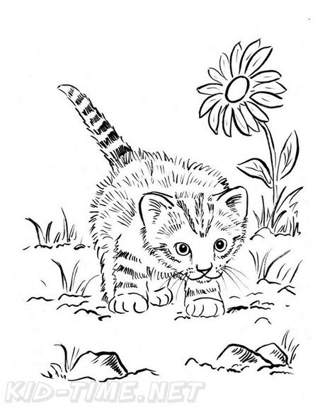 Kittens_Cat_Coloring_Pages_322.jpg