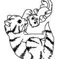 Kittens_Cat_Coloring_Pages_325.jpg