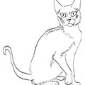 Korat_Cat_Coloring_Pages_002.jpg