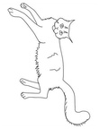 Maine Coon Cat Breed Coloring Book Page