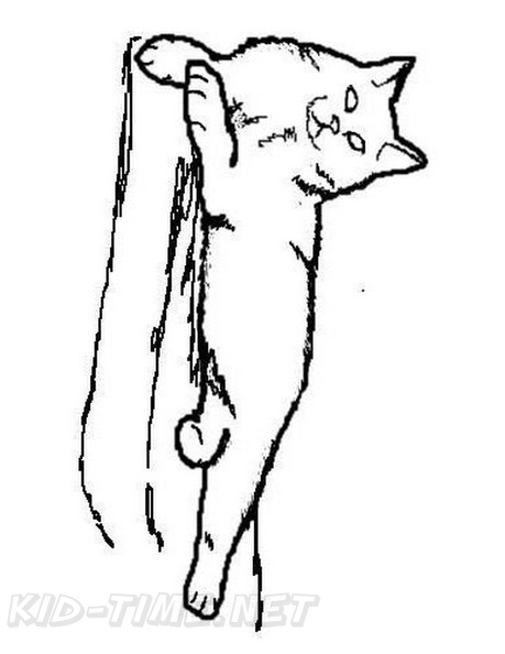 Manx Cat Breed Coloring Book Page