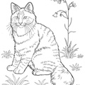 Norwegian_Forest_Cat_Cat_Coloring_Pages_001.jpg