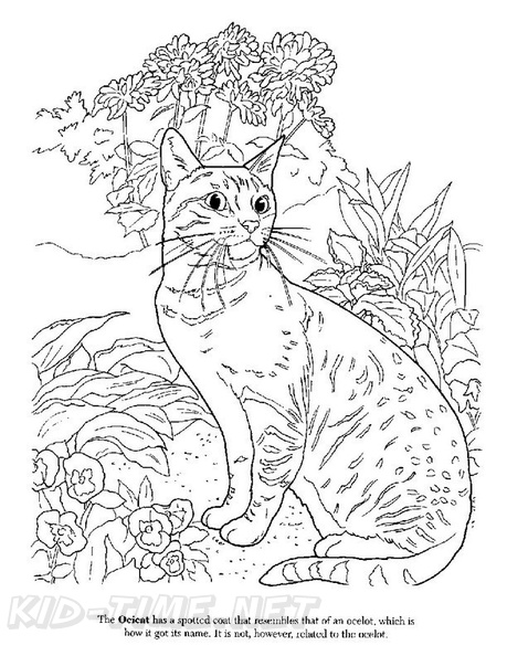 Ocicat_Cat_Coloring_Pages_001.jpg