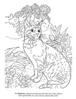 Ocicat Cat Breed Coloring Book Page