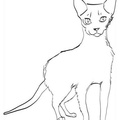 Ocicat_Cat_Coloring_Pages_002.jpg