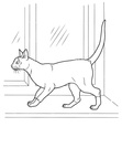 Oriental Shorthair Cats Coloring Book Page