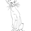 Oriental Shorthair Cats Coloring Book Page