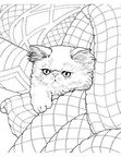 Persian Cat Breed Coloring Book Page