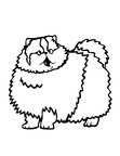 Persian Cat Breed Coloring Book Page