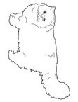 Persian Cat Breed Coloring Book Page