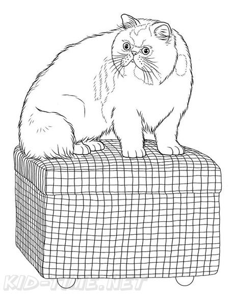 Persian_Cat_Coloring_Pages_011.jpg