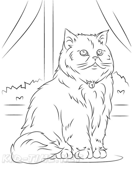 Persian_Cat_Coloring_Pages_013.jpg