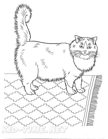 Ragdoll_Cat_Coloring_Pages_001.jpg