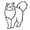 Ragdoll_Cat_Coloring_Pages_004.jpg