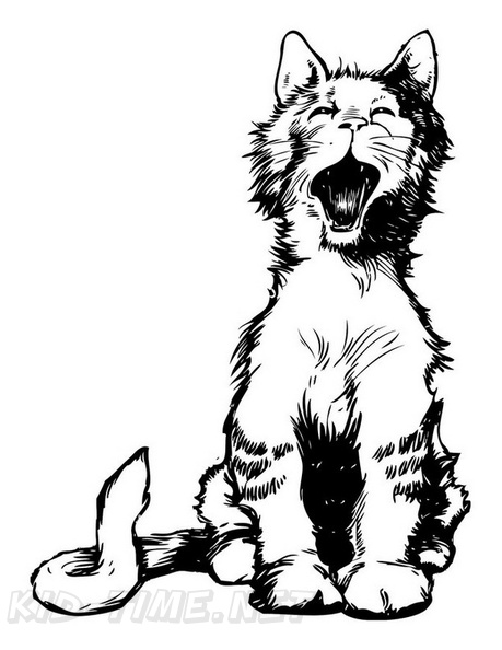 Realistic_Cat_Cat_Coloring_Pages_002.jpg