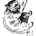 Realistic_Cat_Cat_Coloring_Pages_003.jpg