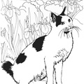 Realistic_Cat_Cat_Coloring_Pages_005.jpg