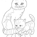 Realistic_Cat_Cat_Coloring_Pages_008.jpg