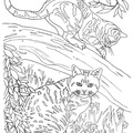 Realistic_Cat_Cat_Coloring_Pages_009.jpg