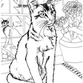 Realistic_Cat_Cat_Coloring_Pages_011.jpg
