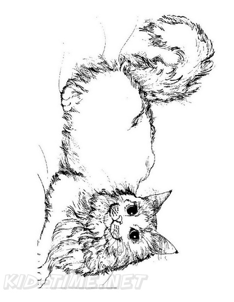 Featured image of post Realistic Cat Coloring Pages For Adults - Cute realistic kitten coloring pages.